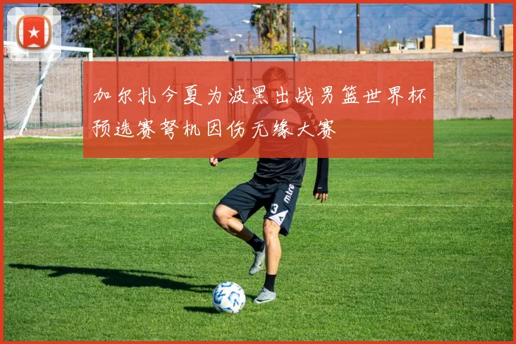 加尔扎今夏为波黑出战男篮世界杯预选赛弩机因伤无缘大赛