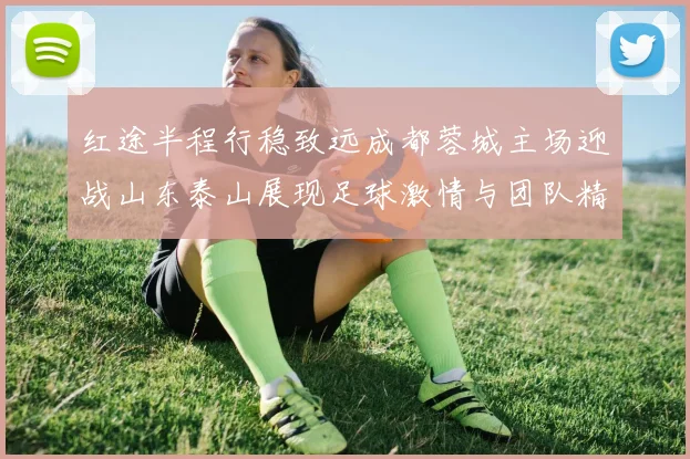 红途半程行稳致远成都蓉城主场迎战山东泰山展现足球激情与团队精神