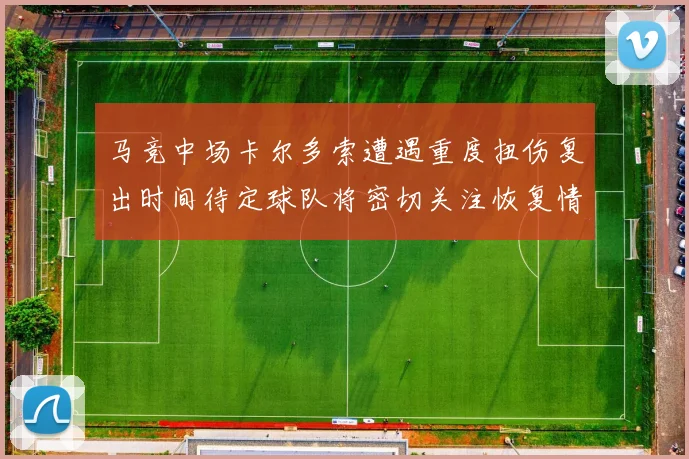 马竞中场卡尔多索遭遇重度扭伤复出时间待定球队将密切关注恢复情况